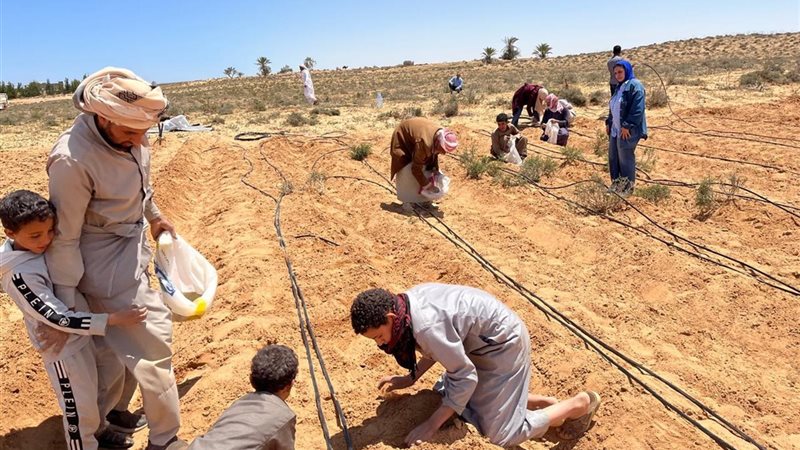 بحوث الصحراء