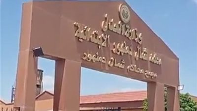 تأجيل محاكمة المتهم بالتعدي على نجله «مريض التوحد» بكفر الدوار لجلسة 19 يوليو