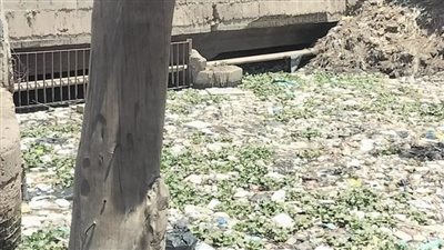 كارثة بيئية تهدد حياة وصحة أهالى قرية كفر طنبدي بمركز شبين الكوم بالمنوفية