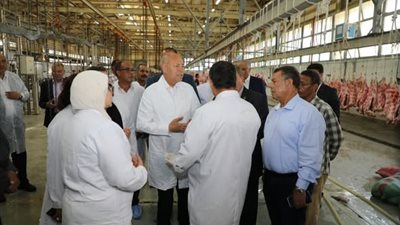 محافظ القاهرة يتفقد مجزر ١٥ مايو لمتابعة استعدادات المجازر لاستقبال الأضاحي