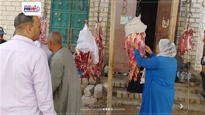 ضبط 556 كيلو لحوم ودواجن وأسماك فاسدة خلال حملات رقابية مكثفة بالمنيا