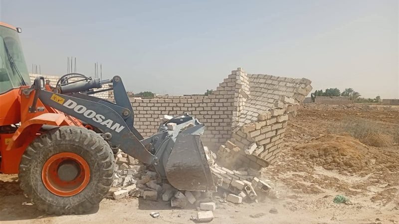 جانب من الحملة