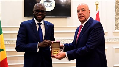 احتفالا بيوم أفريقيا.. هشام بدوي يلتقي رئيس البرلمان السنغالي وسفراء الدول الأفريقية