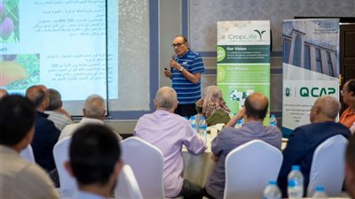 متبقيات المبيدات ينظم ورشة لدعم منتجي ومصدري المانجو بالإسماعيلية