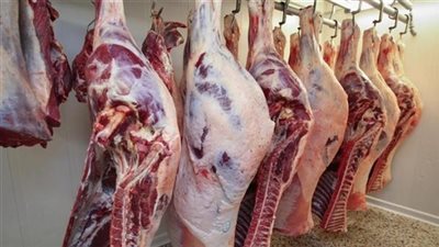 «المجازر خط الدفاع الأول».. تحذير مهم للمواطنين خلال عيد الأضحى