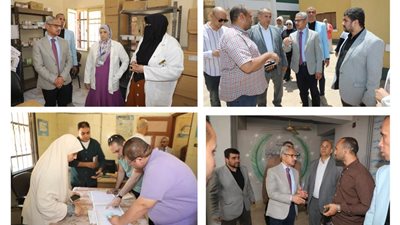 خلال زيارته للميمون.. محافظ بنى سويف يوجه بسرعة تلافي ملاحظات ووضع مقترحات 
