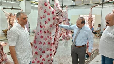 24 مجزر.. استعدادات مديرية الطب البيطري بالدقهلية لاستقبال عيد الأضحى