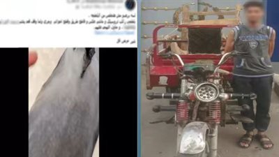 ضبط سائق تروسيكل أصاب شخصين بعد سيره عكس الاتجاه بالإسكندرية