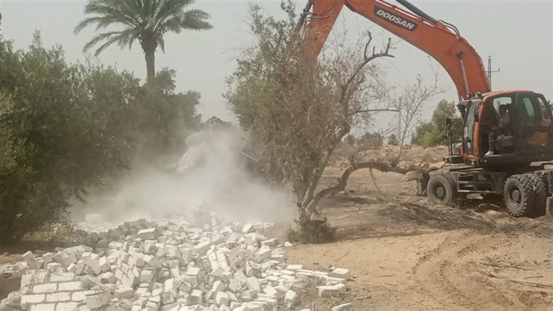 تنفيذ إزالة ٢٠ حالة