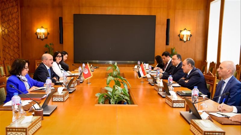 وزيرا خارجية مصر