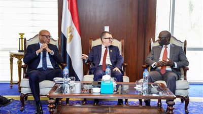 وزير التخطيط ورئيس مؤسسة التمويل الدولية يبحثان تفعيل ضمان مشروعات البنية التحتية