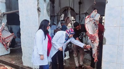 بيطري الشرقية: إتاحة 16 مجزرا حكوميا وتوفير أطباء بيطريين لذبح أضاحى المواطنين