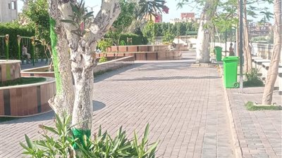 تطوير الشوارع وزيادة المساحات الخضراء.. استعدادات بلقاس لاستقبال عيد الأضحى