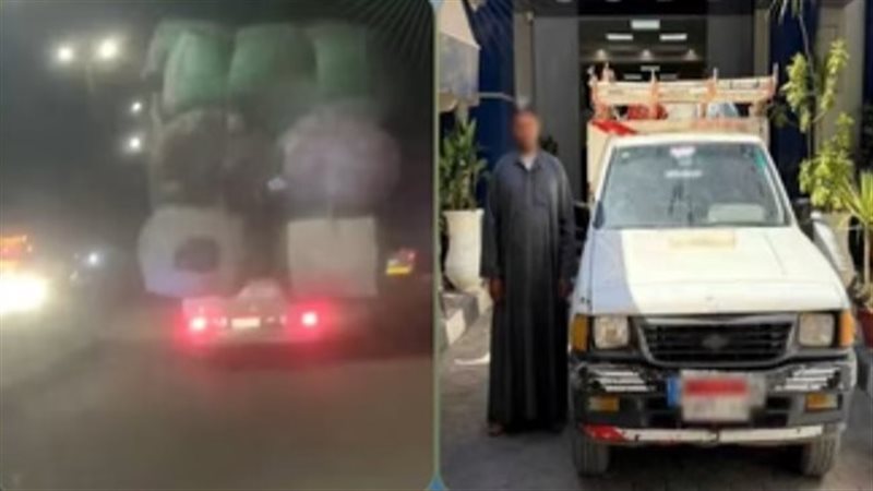 السائق 