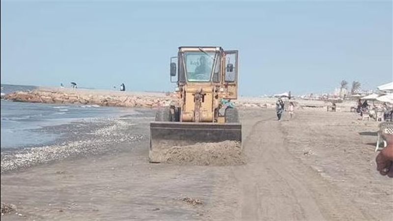 جانب من جهود أحياء