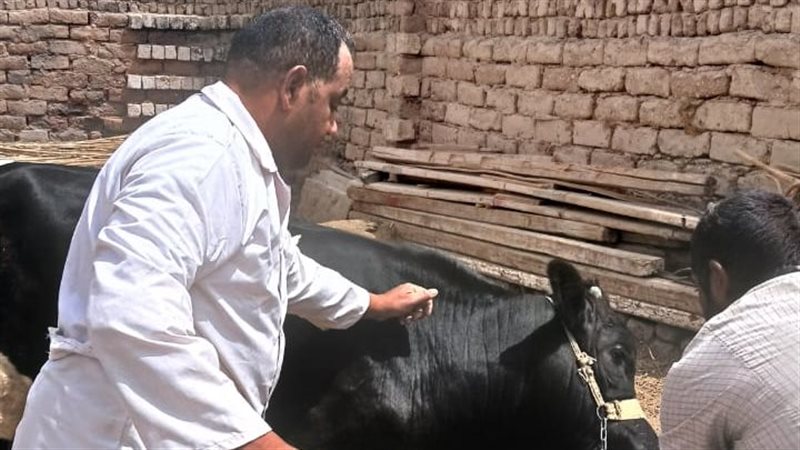 حملة التصحين من الحمى