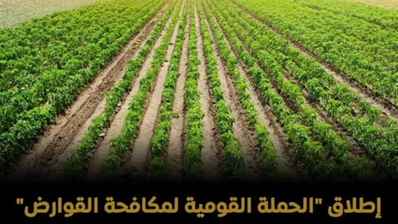 محاصيل زراعية