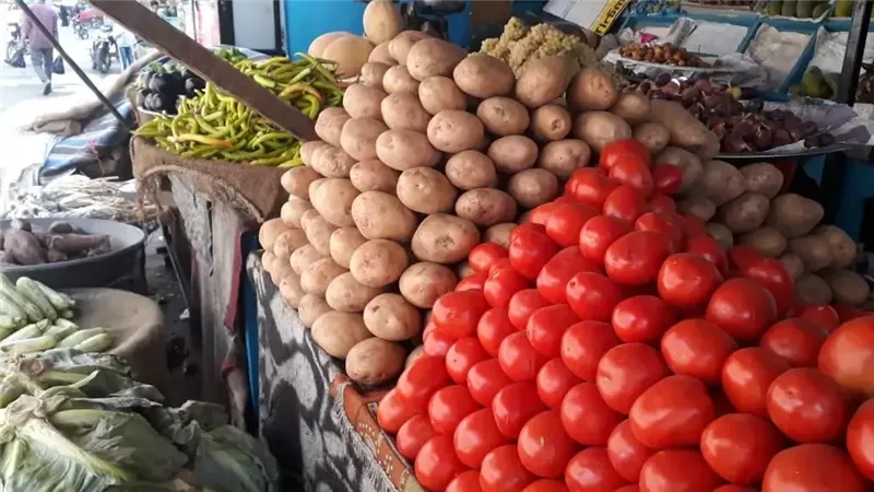 سعر الطماطم اليوم