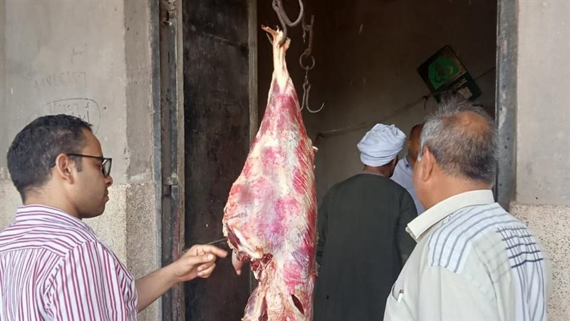 خلال الحملة 