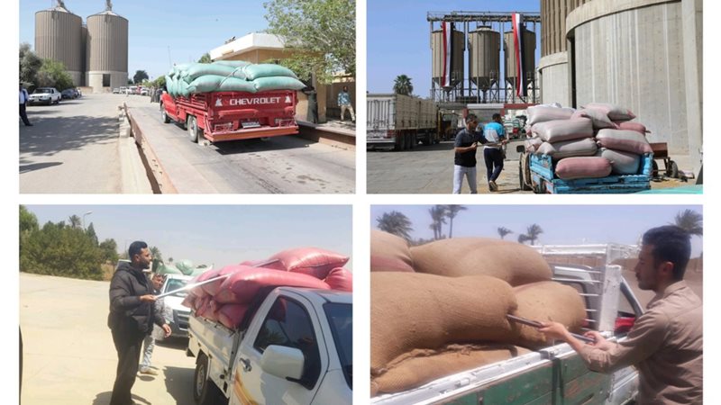 توريد القمح بصوامع