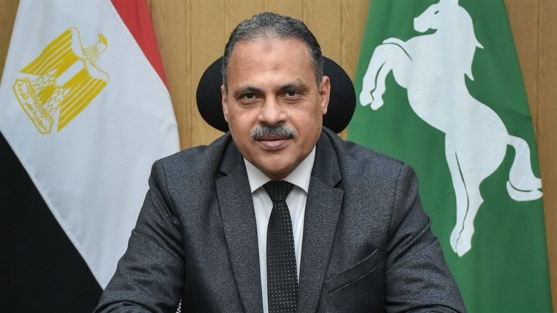 محافظ الشرقية