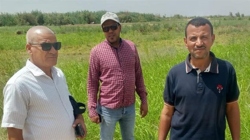 اللجنة المشكلة لمعاينة