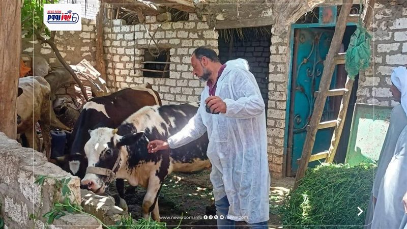 بيطرى