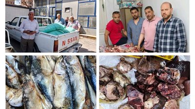 بنى سويف: ضبط لحوم ودجاج مجهولة المصدر ودقيق مدعم قبل بيعه بالسوق السوداء