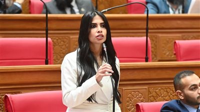 سؤال برلماني عن غياب دور وزارة الاتصالات في مواجهة الغش الإلكتروني 