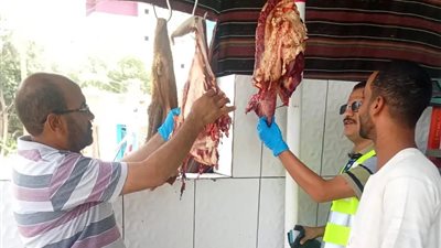 قبل العيد.. حملات مكثفة للطب البيطرى بأسوان على محلات الجزارة والأسواق