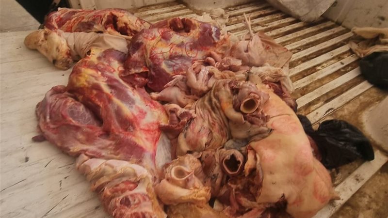 المضبوطات 