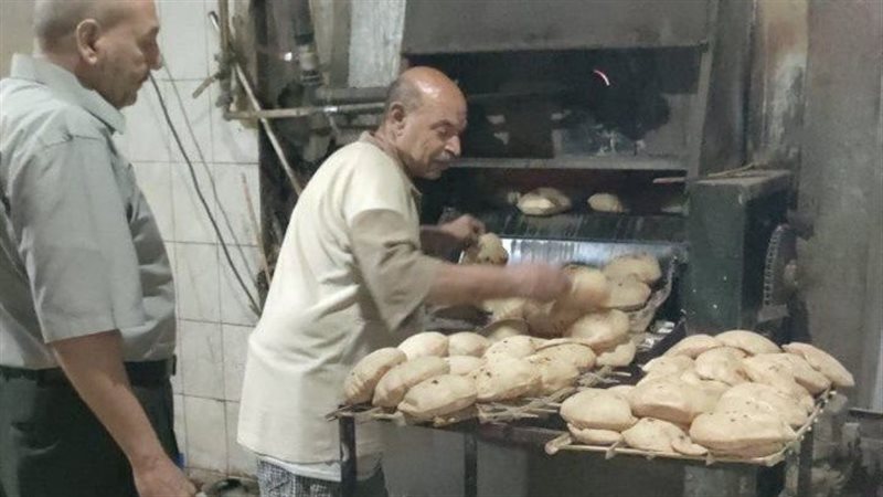 الحملات