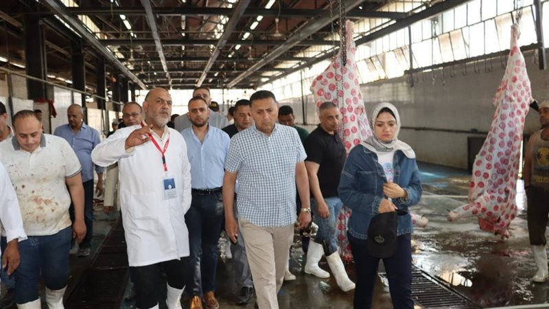 محافظ القليوبية 