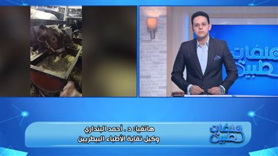 وكيل الأطباء البيطريين: المجازر بالمجان طوال العيد والذبح في الشوارع ضرر وضرار