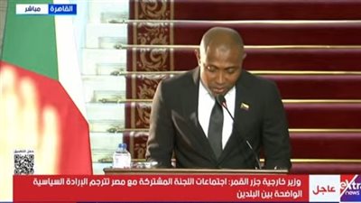 وزير خارجية جزر القمر: اجتماعات اللجنة المشتركة مع مصر تترجم الإرادة السياسية 