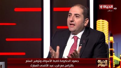 رئيس المستوردين: الأسواق مستقرة قبل العيد.. والحكومة تدبر 