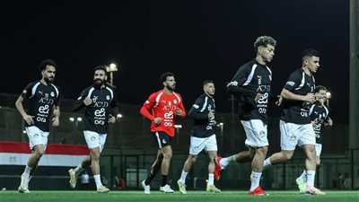  ملامح قائمة منتخب مصر في كأس العالم.. خروج لاعب من هذا الرباعي