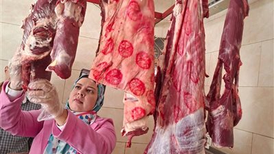 حملة تفتيشية مكثفة على محلات اللحوم والدواجن والأسماك بالسويس استعدادا للعيد