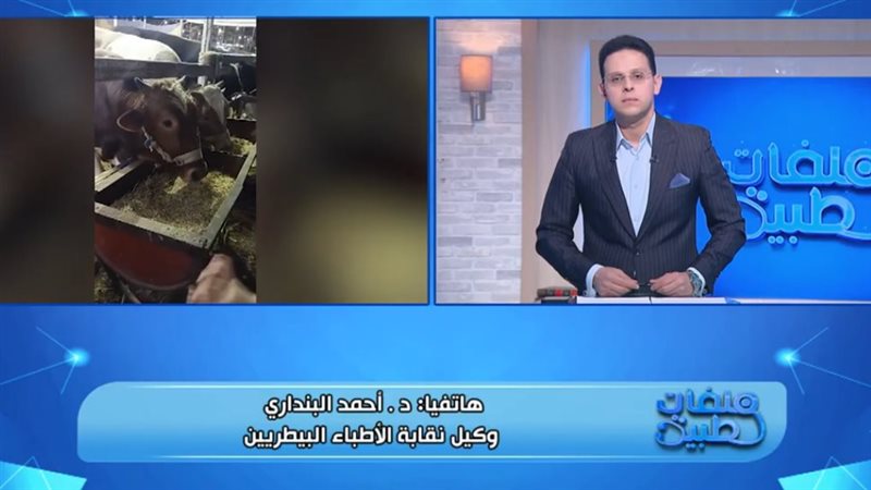 ملفات طبية