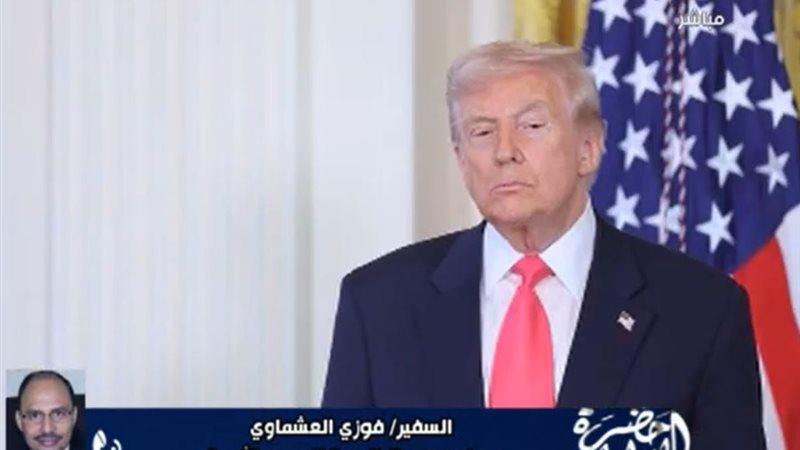 السفير فوزي العشماوي