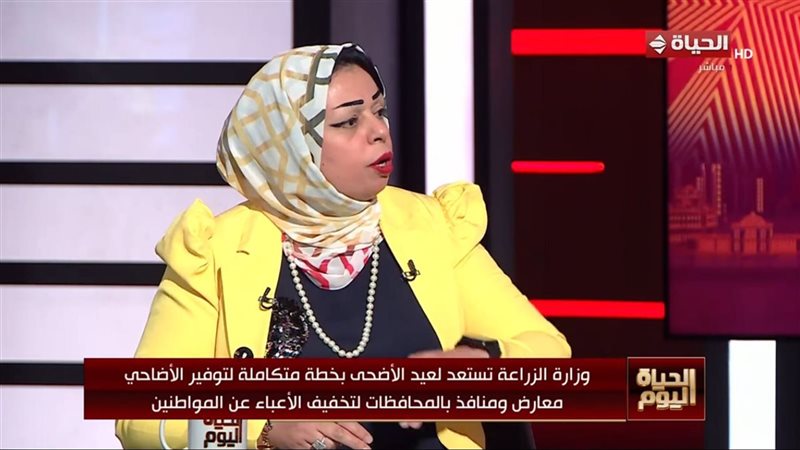 الحياة اليوم