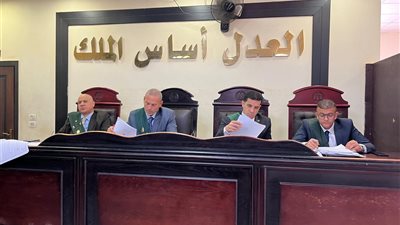 تأجيل محاكمة رئيس مجموعة القروض متناهية الصغر» بتهمة التزوير والاستيلاء لجلسة