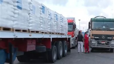 «زاد العزة 203» تعبر نحو غزة.. مصر تواصل إنقاذ القطاع وسط القصف