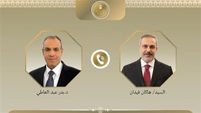 مصر وتركيا تؤكدان: الدبلوماسية الحل الوحيد لخفض التصعيد في المنطقة