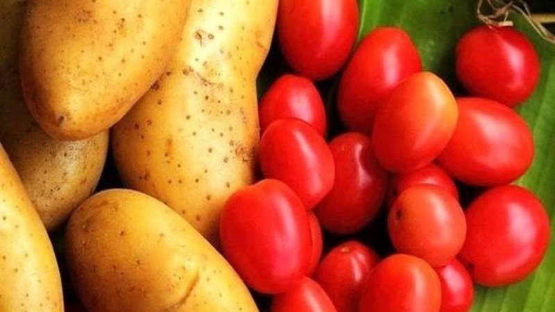 طماطم وبطاطا