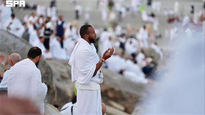 أمين الفتوى بـ