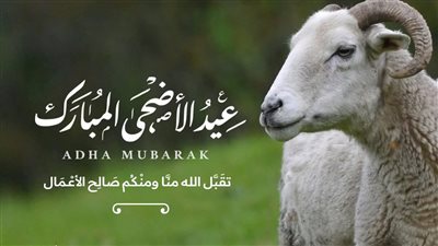 ما حكم رمي شيء من الأضحية؟ .. الدكتور علي جمعة يوضح