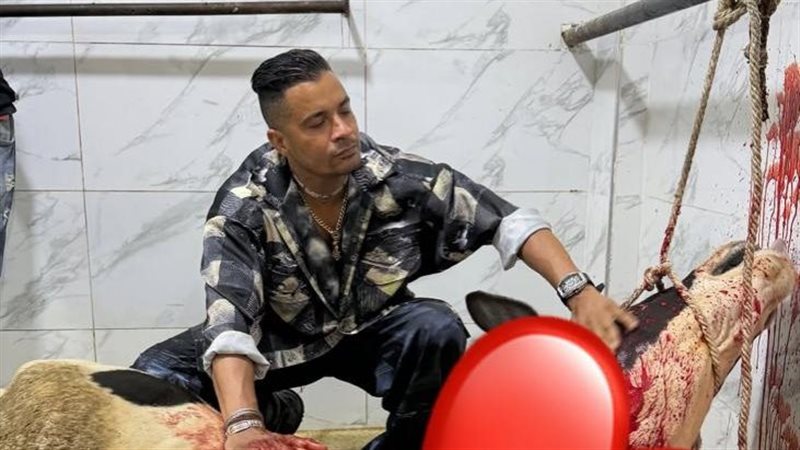 حسن شاكوش
