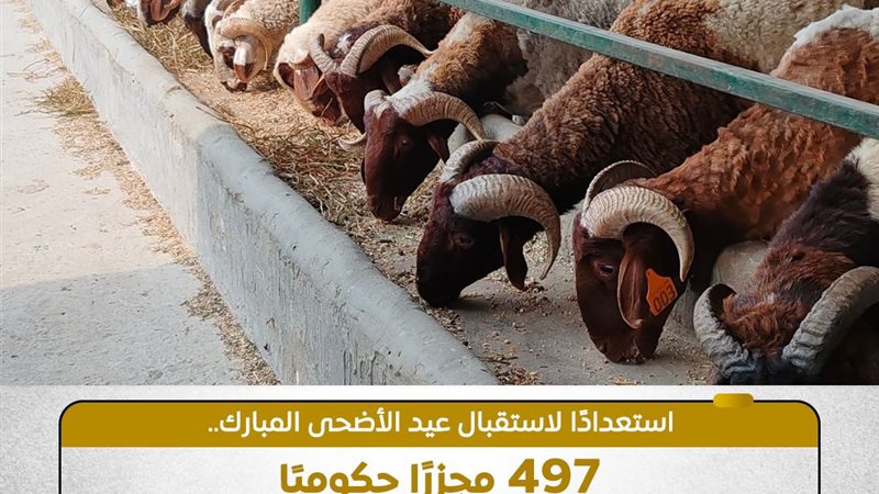 أضحية 
