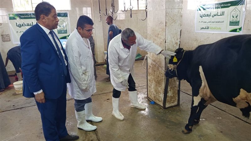 وكيل وزارة الطب البيطري